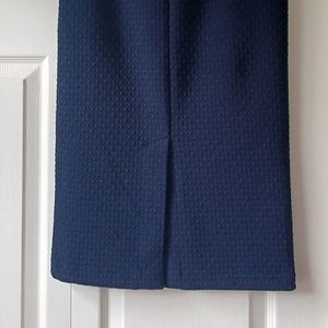 Ann Taylor Loft Skirt